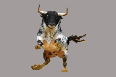 İspanya boynuzlarıyla büyük bir boğa.