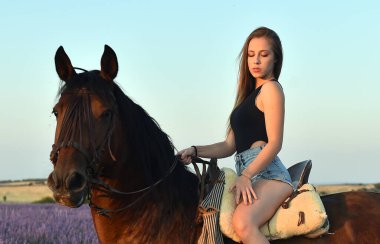 Lavanta tarlasında ata binen sarışın bir manken.