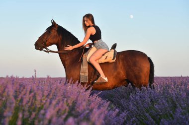 Lavanta tarlasında ata binen sarışın bir manken.