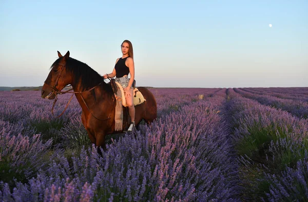 Jovem Modelo Blodne Campo Lavanda Lindo — Fotografia de Stock