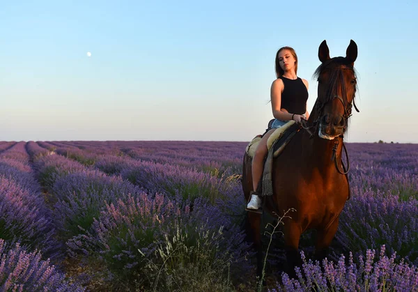 Jovem Modelo Blodne Campo Lavanda Lindo — Fotografia de Stock