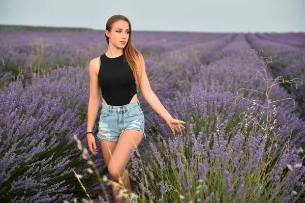 Een Jong Blodne Model Een Prachtig Lavendelveld — Stockfoto