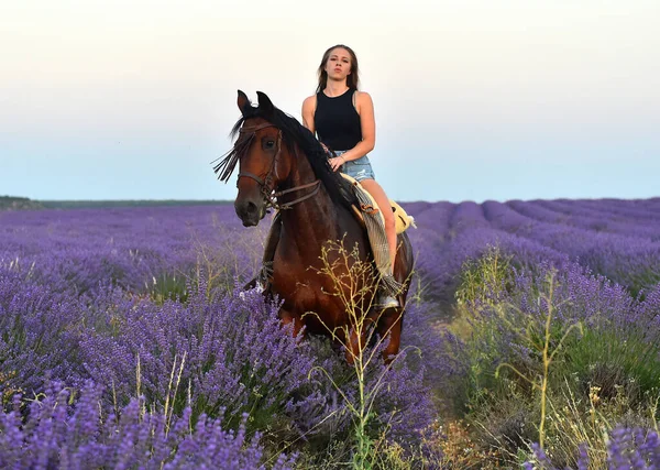 Jovem Modelo Blodne Campo Lavanda Lindo — Fotografia de Stock