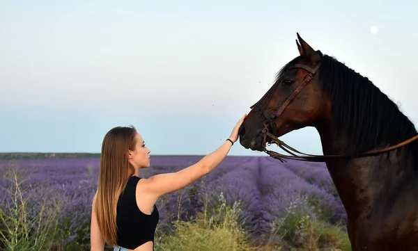 Jovem Modelo Blodne Campo Lavanda Lindo — Fotografia de Stock