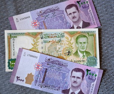 Suriye banknotları ve devlet başkanları Al Asad portreleri