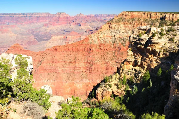 Grote Canyon. — Stockfoto