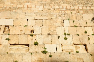 Kotel. Jerusalem.