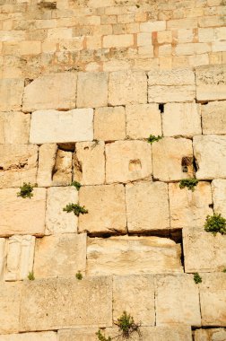 Kotel. Jerusalem.