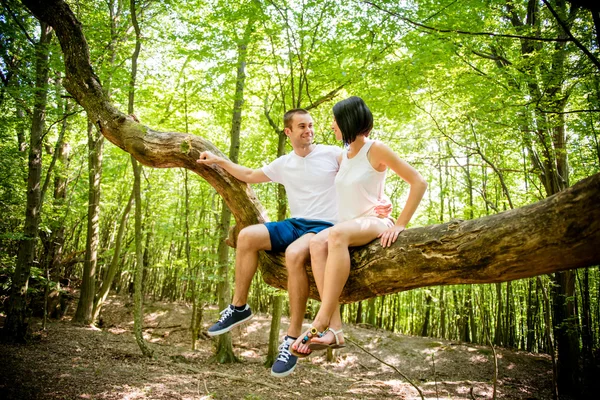 Love - date on tree — Stock Photo, Image