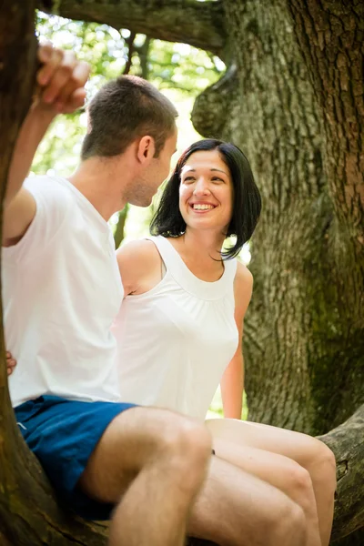 Amore - data su albero — Foto Stock