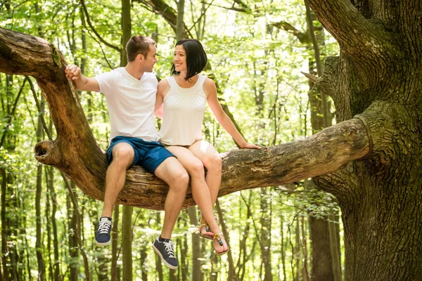 Liebe - Datum auf Baum — Stockfoto