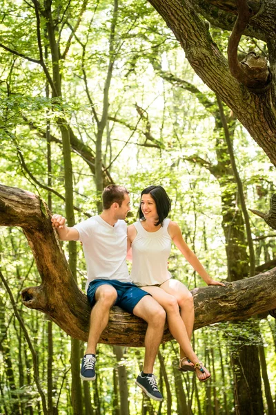 Amor - data na árvore — Fotografia de Stock