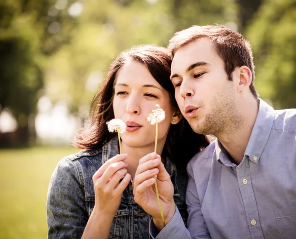 Pareja soplando dientes de león — Foto de Stock