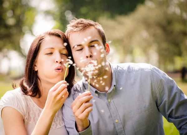 Couple blowing dandelions — Stock Photo, Image