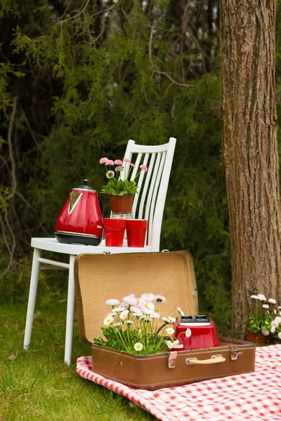 Picnic in the spring park — Stock Photo, Image