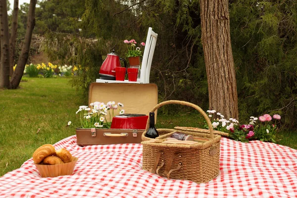 Picknick im Frühlingspark — Stockfoto