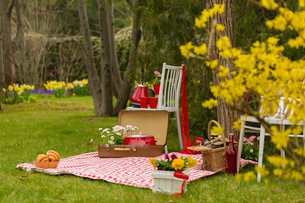 Picknick in het park voorjaarsbijeenkomst — Stockfoto