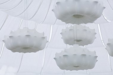 Fütüristik çiçek dekorasyonu