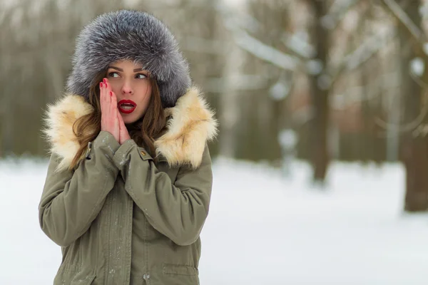 Beautiful woman in winter coat and fur hat — Stock Photo, Image