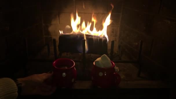 Gezellige Kersthaard Met Een Paar Mokken Met Warme Cacao — Stockvideo