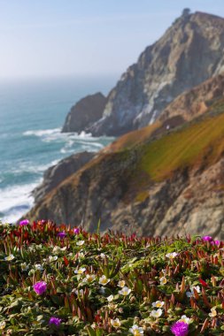 Kuzey Kaliforniya 'daki güzel Pasifik Okyanus Kıyısı