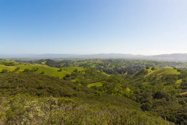 Colinas Parque Mount Diablo Norte California — Foto de Stock