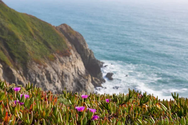 Hermosa Costa Del Océano Pacífico Norte California — Foto de Stock