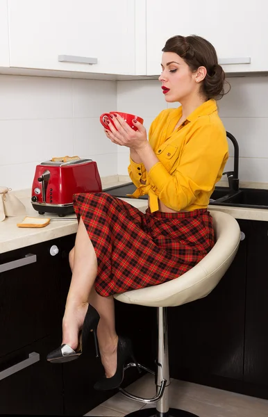 Stylish pin-up housewife — Stock Photo, Image