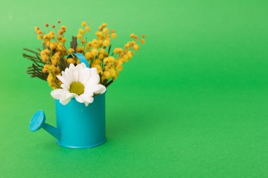 bahar çiçekleri sulama tencerede