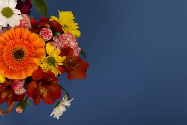 Regalo de primavera — Foto de Stock