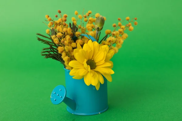 Spring flowers in watering pot — Stock Photo, Image