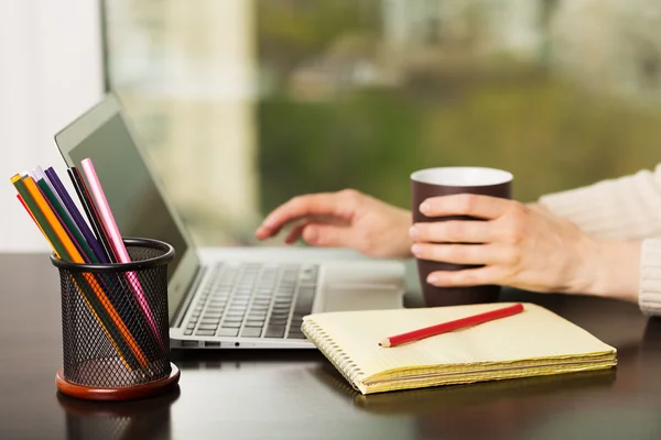 Lavorare al computer portatile — Foto Stock