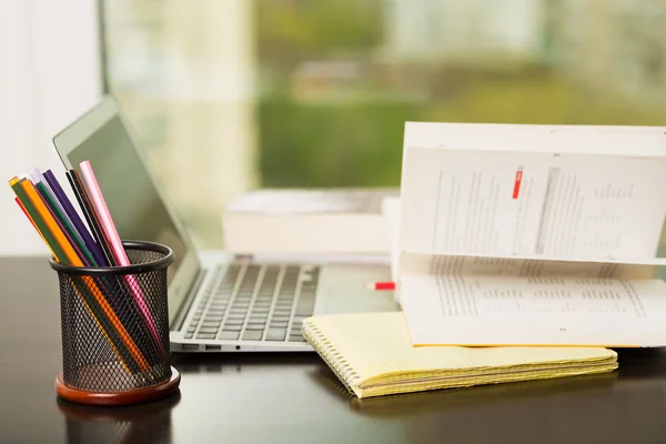 Lavorare al computer portatile — Foto Stock