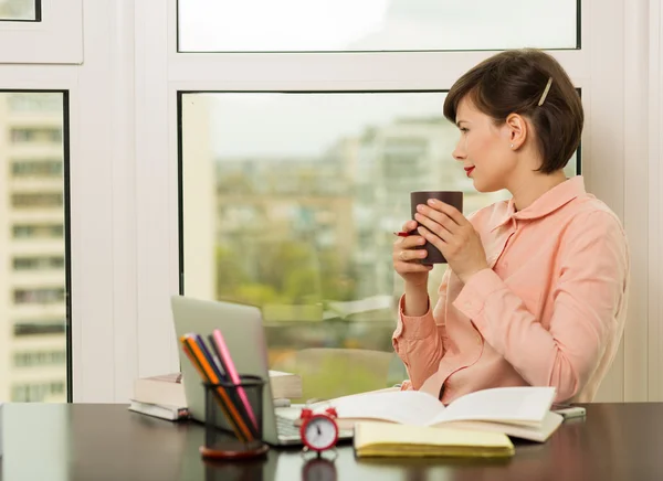 Working at the laptop — Stock Photo, Image