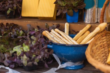 İtalyan grassini ve fesleğen