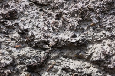 Taş duvar artalanları