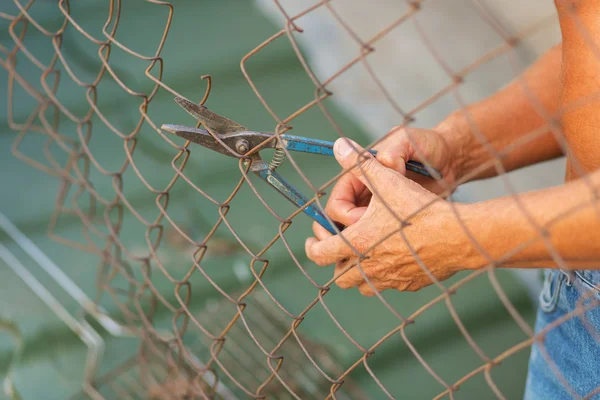 Breaking down the fence — Φωτογραφία Αρχείου