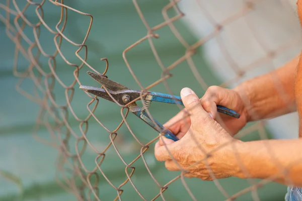 Breaking down the fence — Φωτογραφία Αρχείου