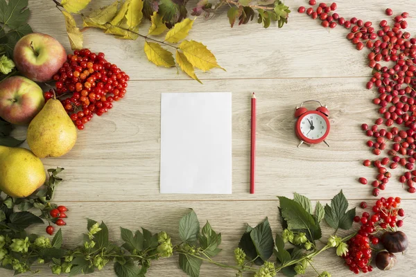 Hintergrund Herbst — Stockfoto