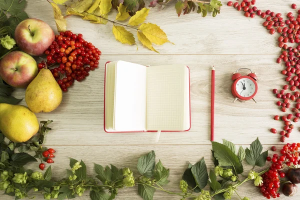 Herfst achtergrond — Stockfoto