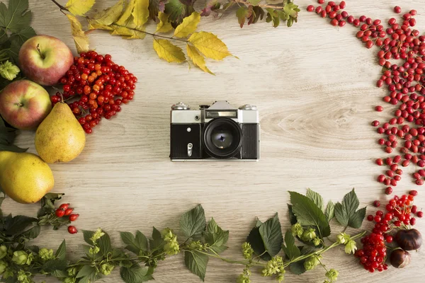 Hintergrund Herbst — Stockfoto