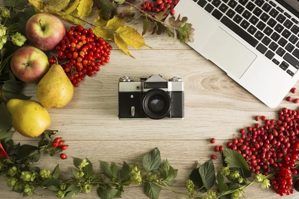 Fundo de outono — Fotografia de Stock