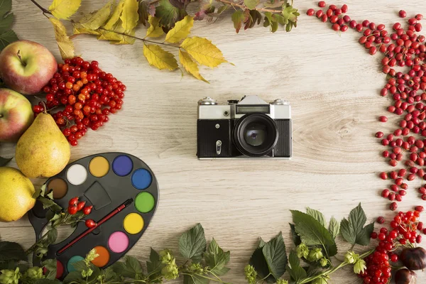 Herfst achtergrond — Stockfoto