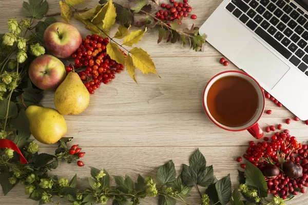 Autumn background — Stock Photo, Image