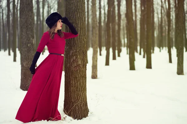 Красивая женщина в зимнем лесу — стоковое фото