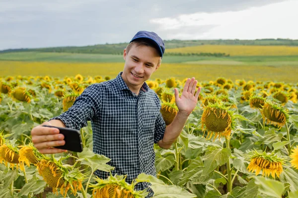 Mladý agronomista vede vlog na slunečnicovém poli, — Stock fotografie