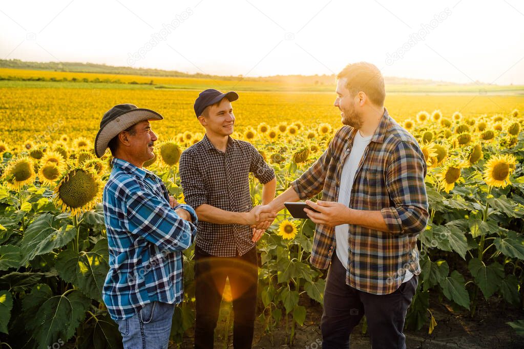 Agribusiness concept, Farmers and businessman shaking hand on the sunflower field background.