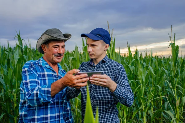 Edessä näkymä modernin viljelijöiden digitaalinen tabletti, — kuvapankkivalokuva
