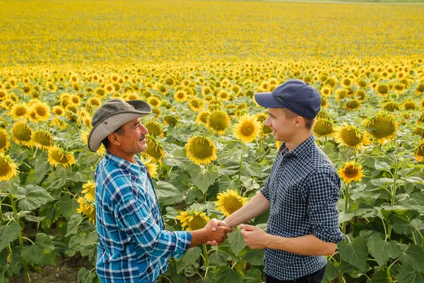 Potřesení rukou. Dva farmáři stojící a třesoucí se ruce na slunečnicovém poli. — Stock fotografie