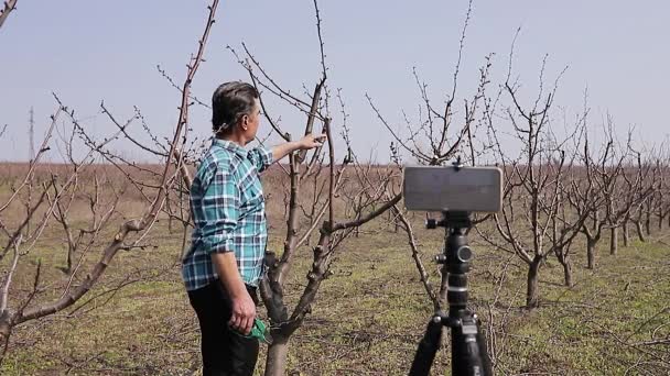 若い農家春に果物の木を剪定します。ブロガーインフルエンサーの記録ビデオブログのコンセプト — ストック動画